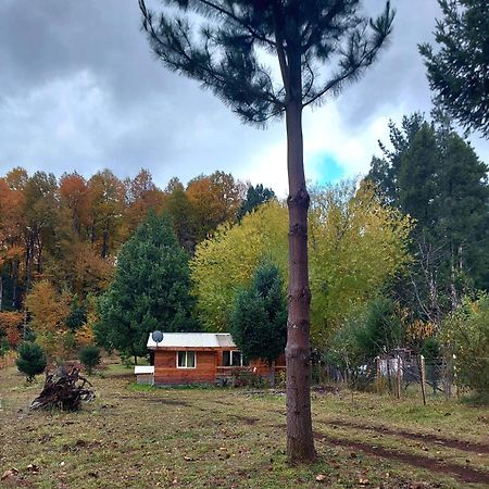 Cabana May Pao, Para 3 En Melipeuco Cerca Del Parque Nacional Conguillio Экстерьер фото