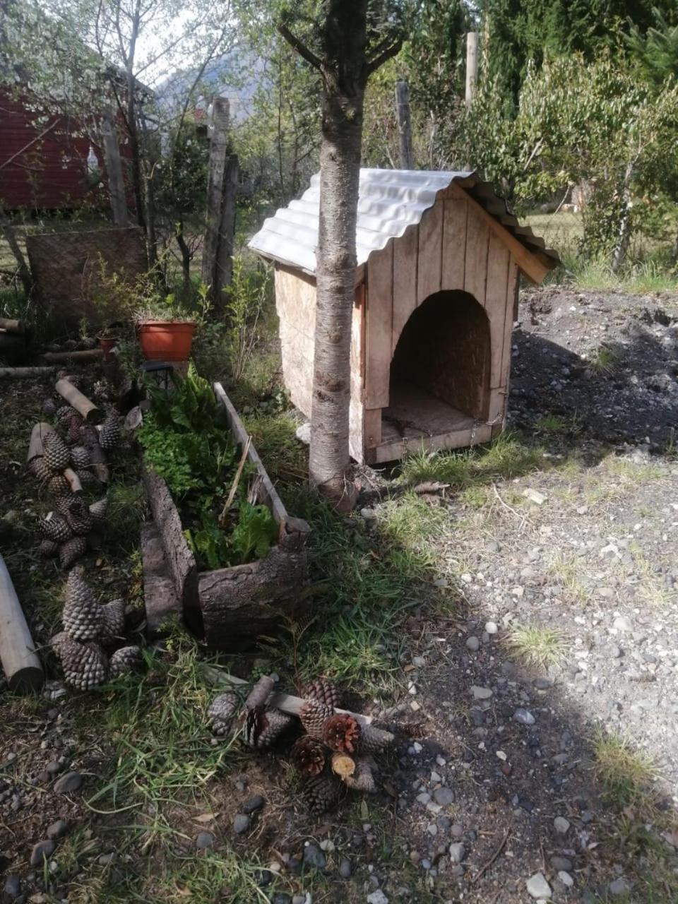 Cabana May Pao, Para 3 En Melipeuco Cerca Del Parque Nacional Conguillio Экстерьер фото