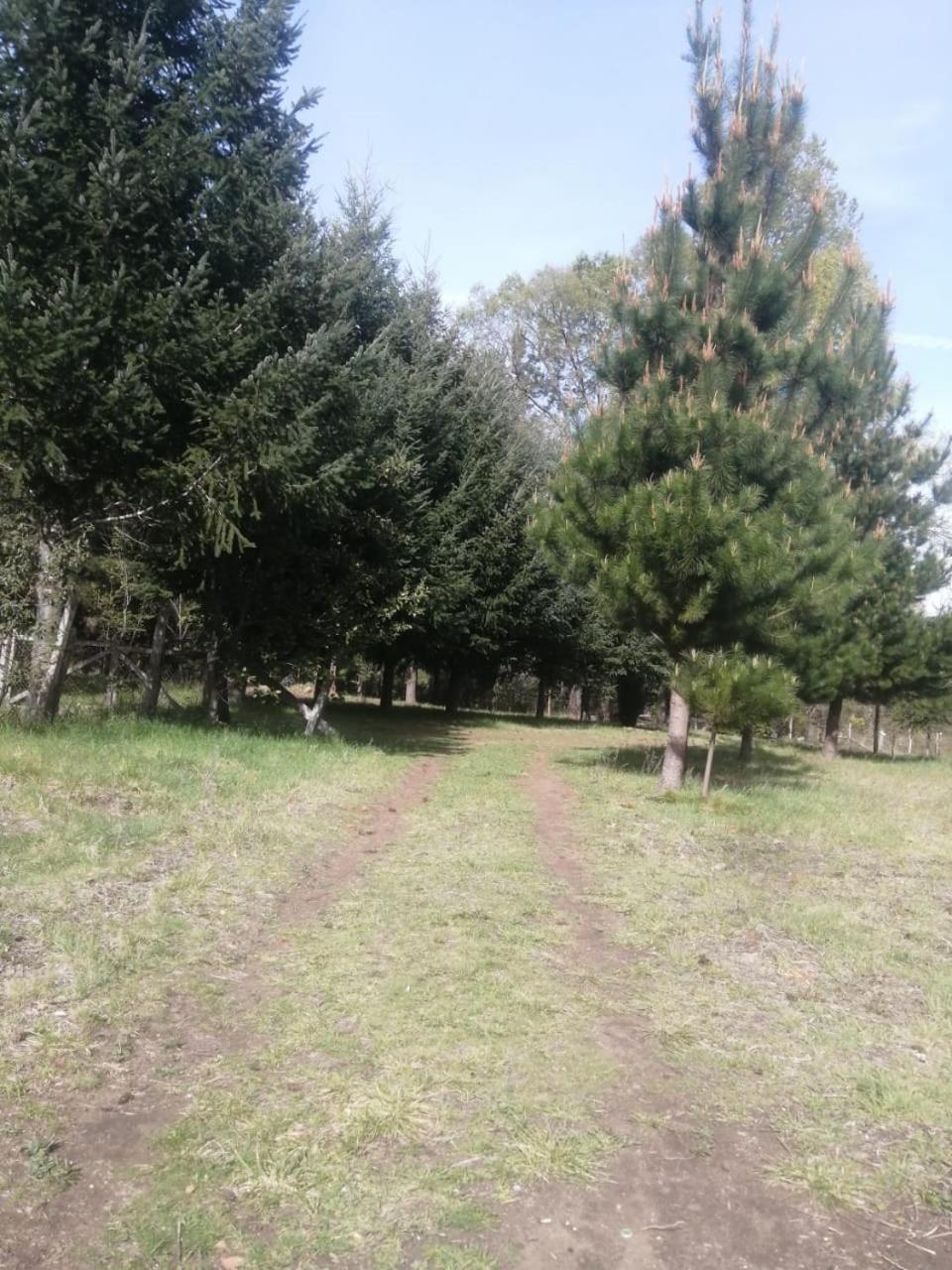 Cabana May Pao, Para 3 En Melipeuco Cerca Del Parque Nacional Conguillio Экстерьер фото