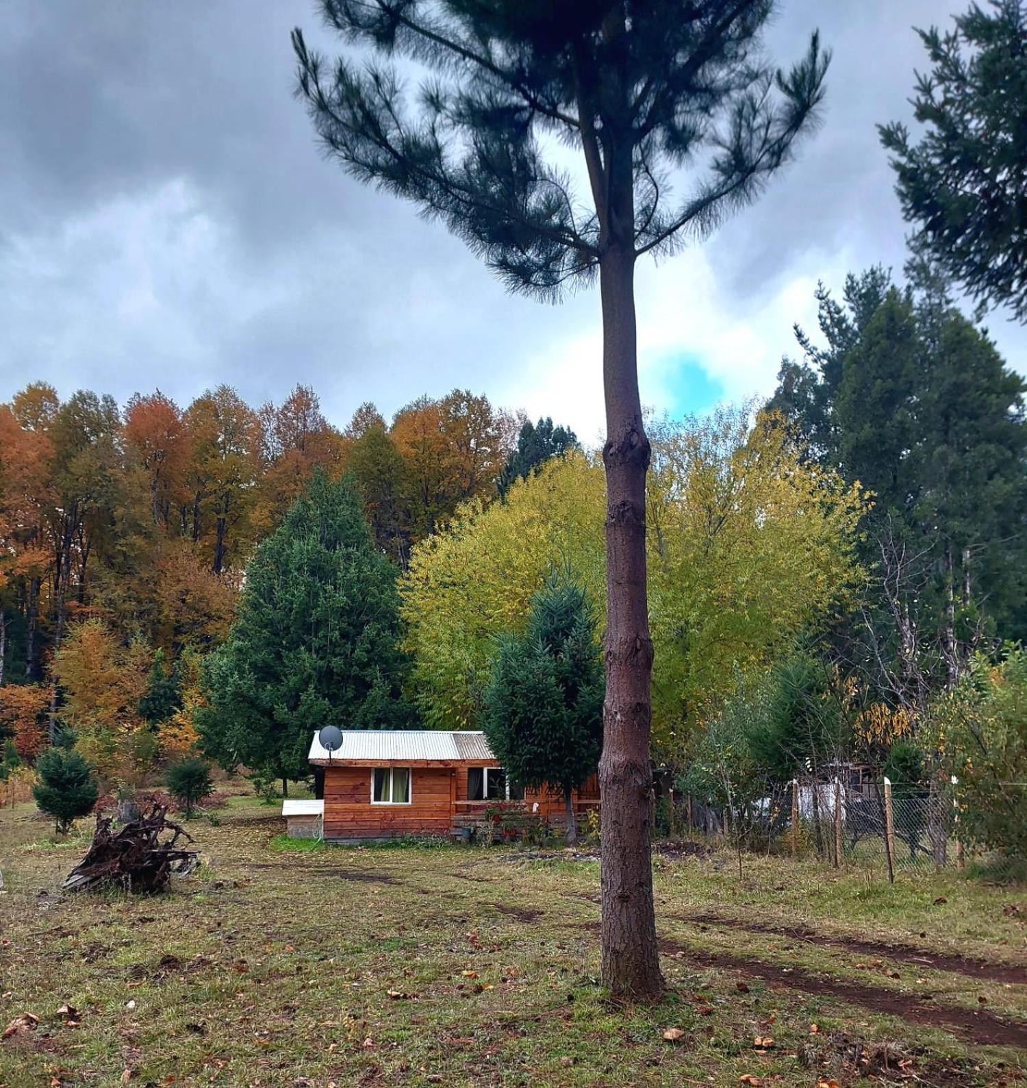 Cabana May Pao, Para 3 En Melipeuco Cerca Del Parque Nacional Conguillio Экстерьер фото